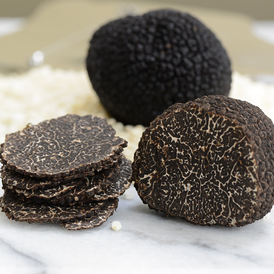 Morina%20Tartufi