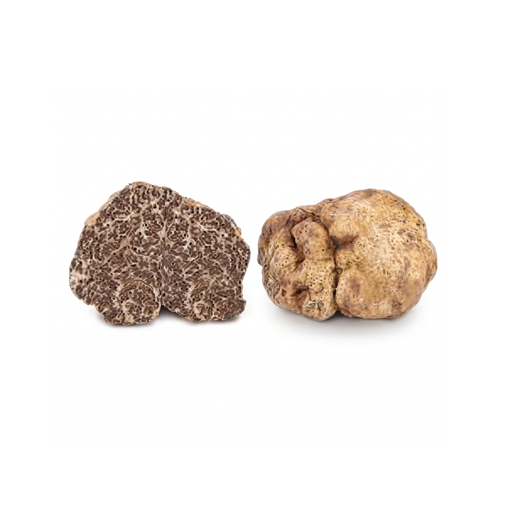 Morina%20Tartufi