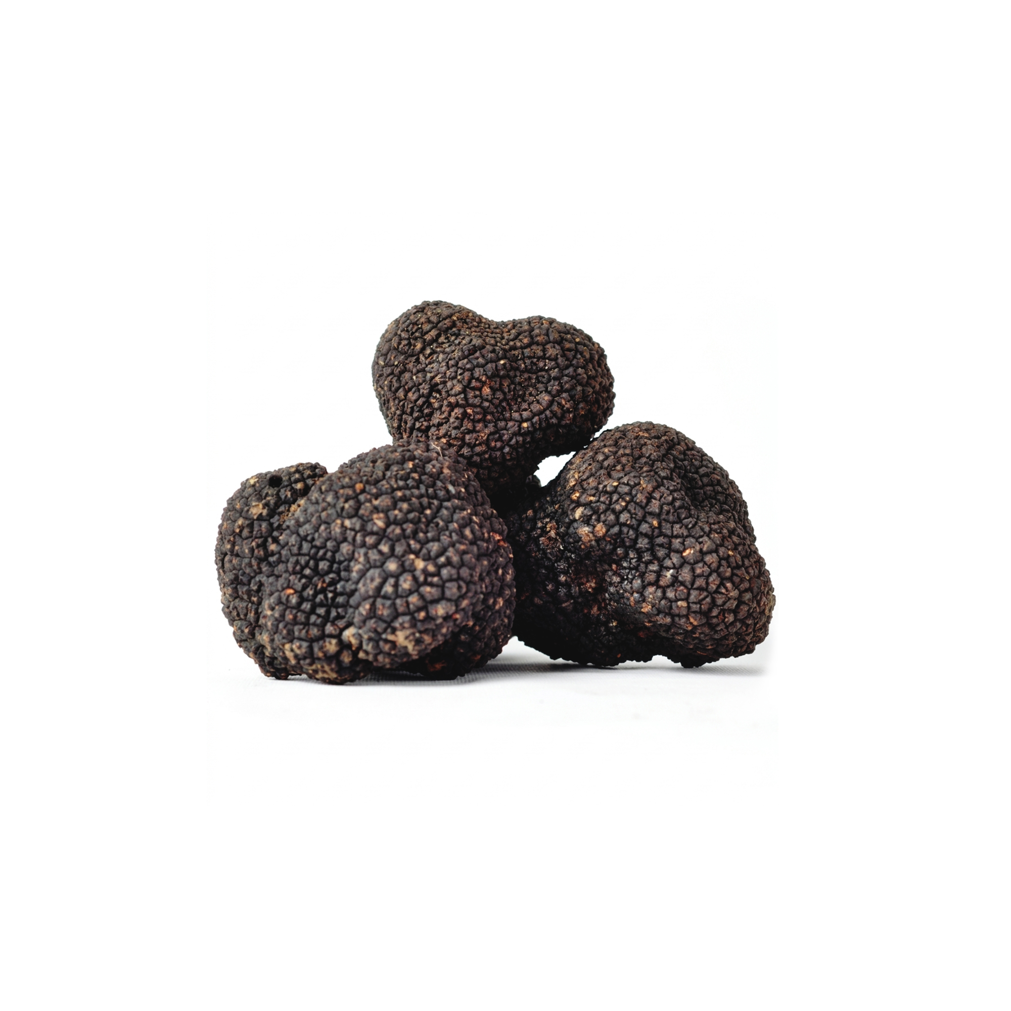 Morina%20Tartufi