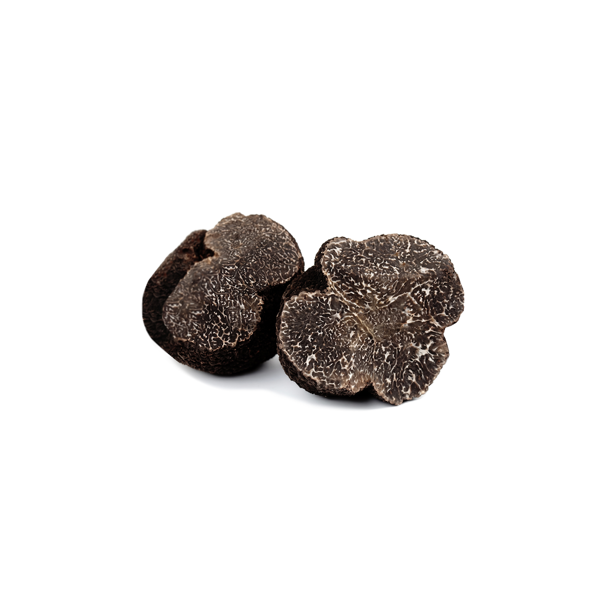 Morina%20Tartufi