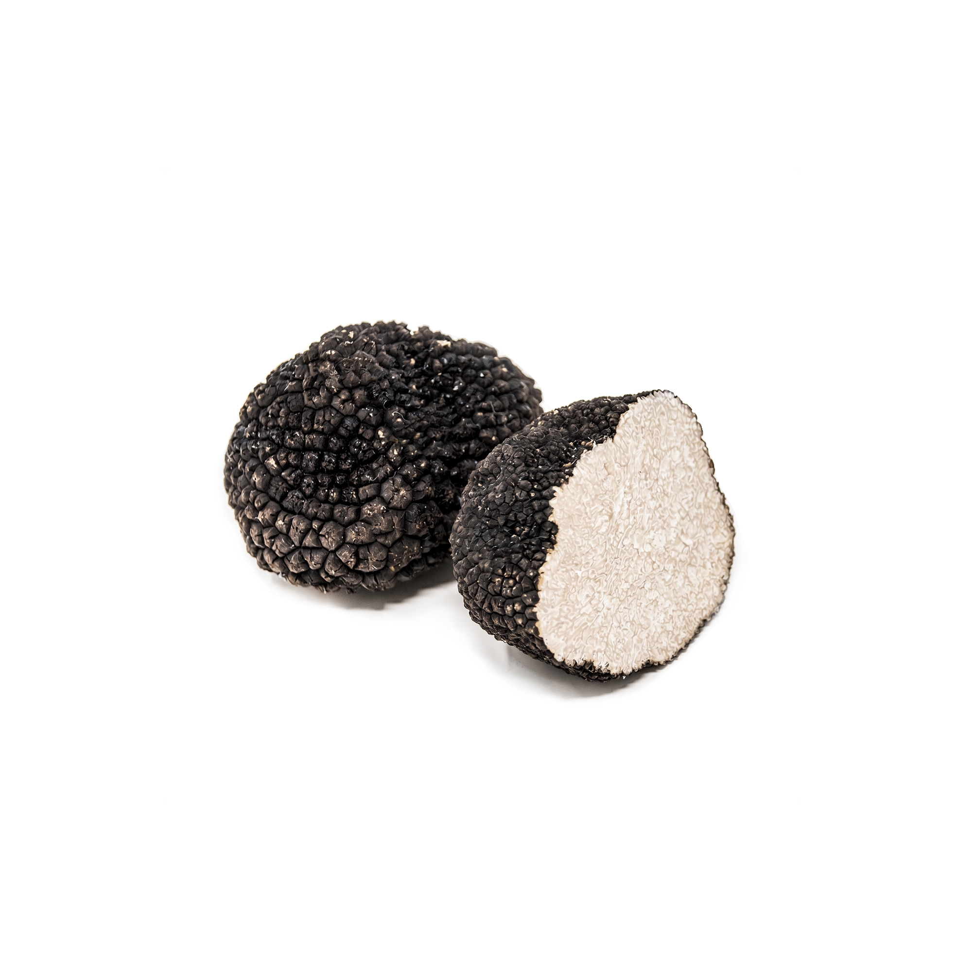 Morina%20Tartufi