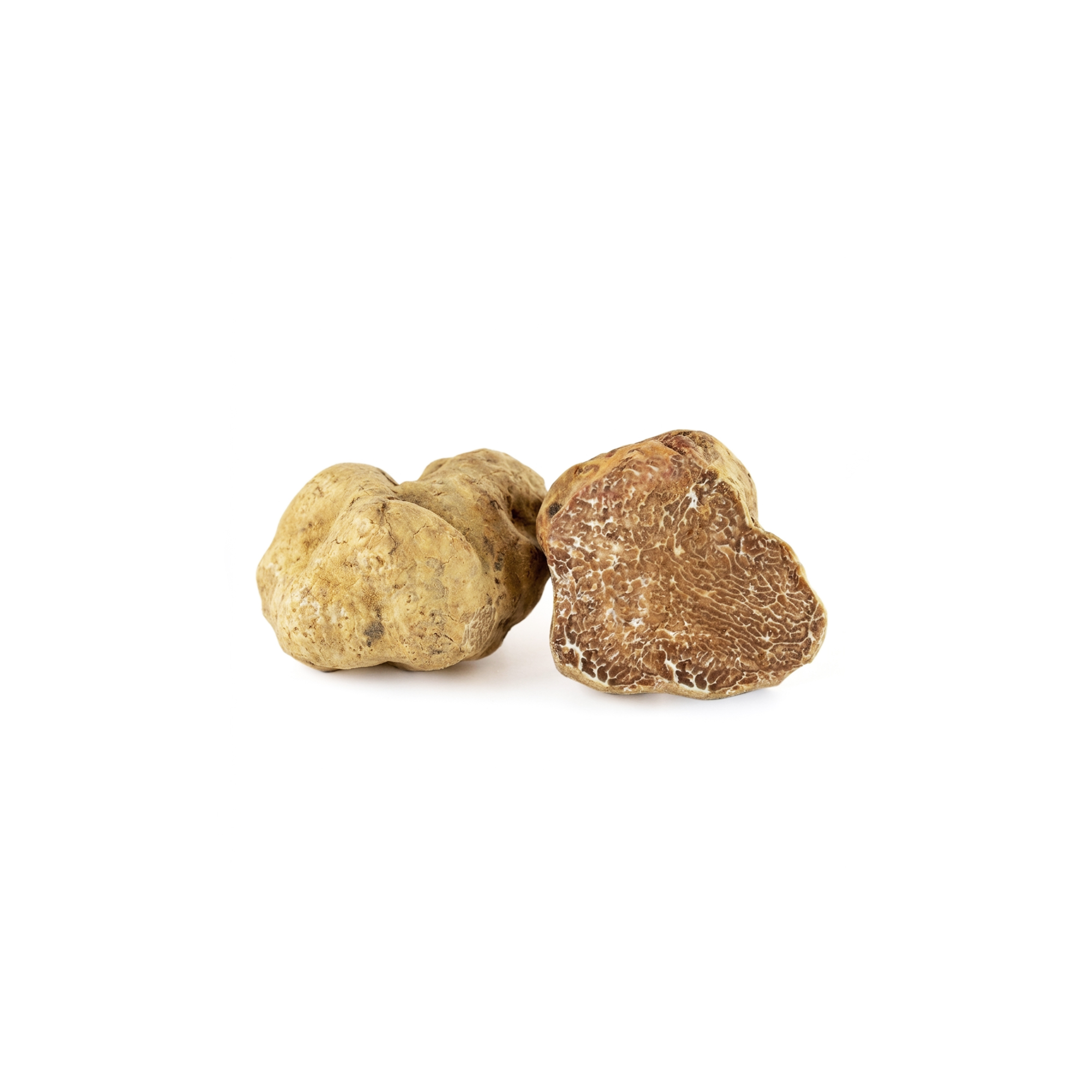 Morina%20Tartufi