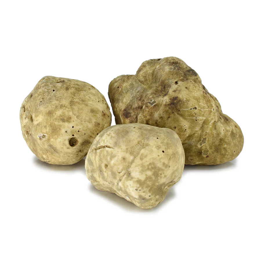 Morina%20Tartufi