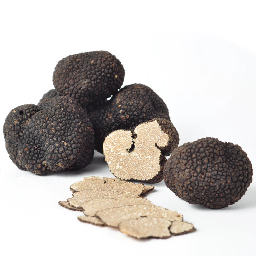 Morina%20Tartufi