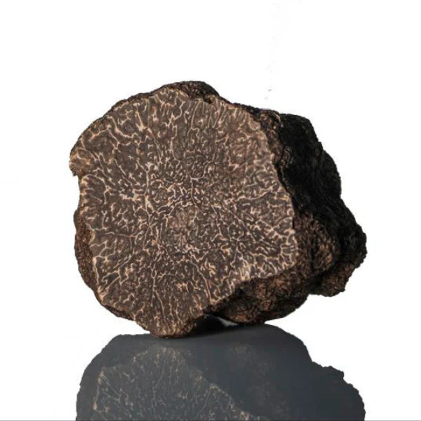 Morina%20Tartufi