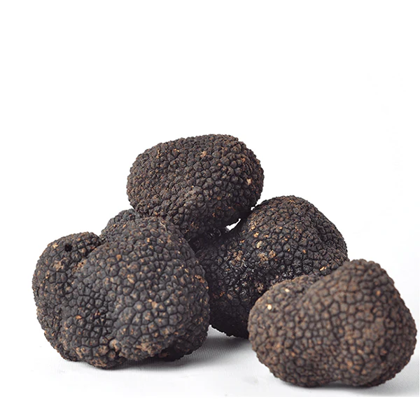 Morina%20Tartufi